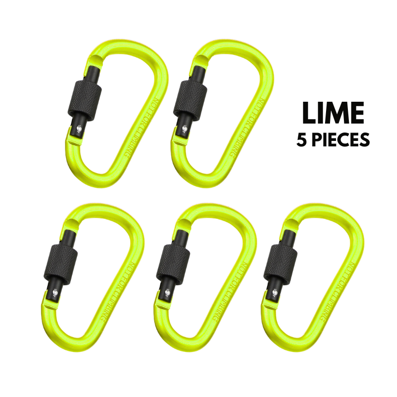 Aluminum Alloy Carabiner Clip Hook Heavy Duty Backpack Keychain Quick Attach Buckle for Camping, Hiking & Outdoor Travel