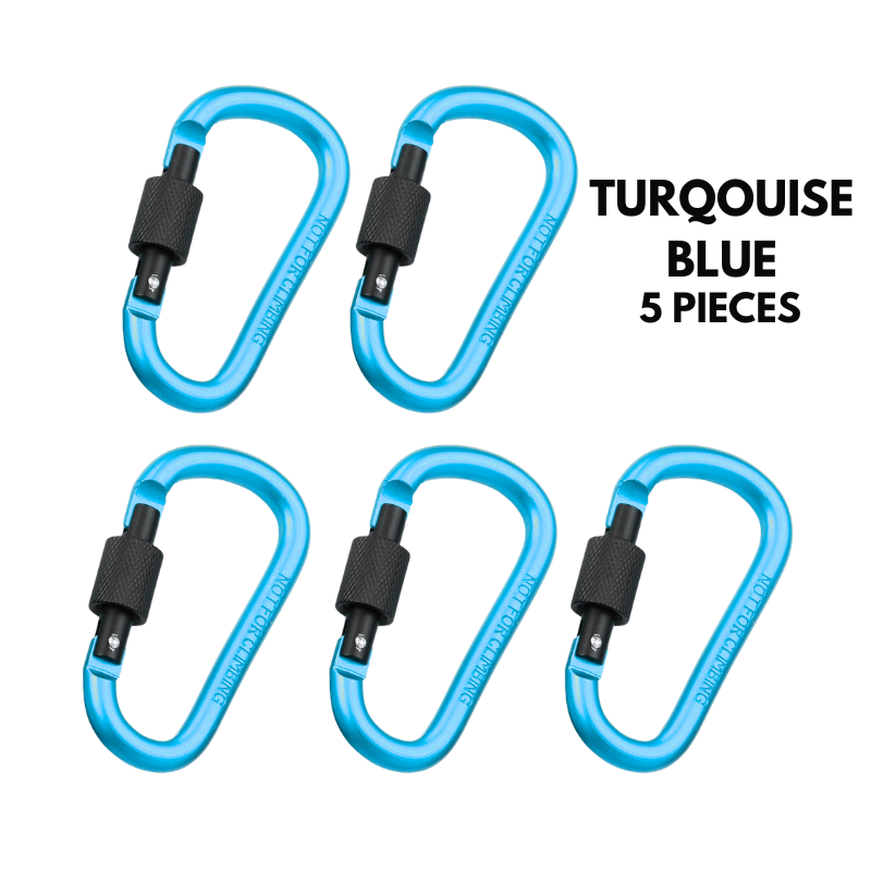 Aluminum Alloy Carabiner Clip Hook Heavy Duty Backpack Keychain Quick Attach Buckle for Camping, Hiking & Outdoor Travel